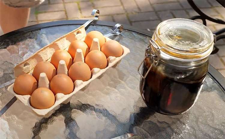  Проверяем рецепты закусок из яиц. Готовим в соевом соусе и на мангале как шашлык