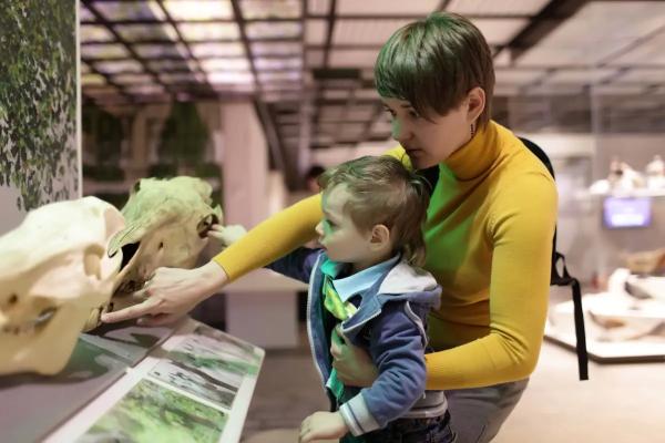 Музеи и дети: как и зачем ходить на выставки с ребенком. Музеи для детей
